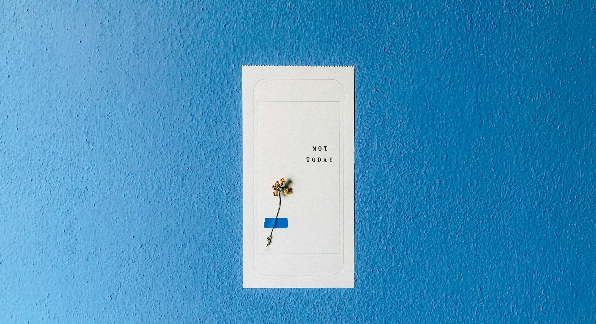 white and blue floral card