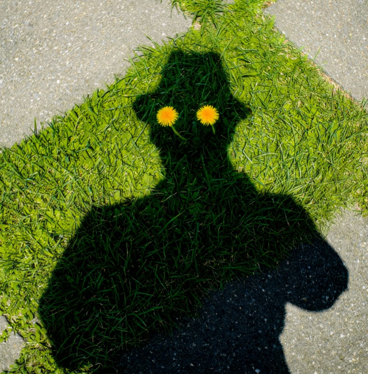 Stop Hustling: The Science of Working Less and Achieving More